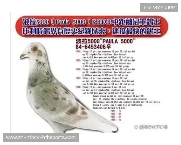 法甲有名球员的职业成就与影响力分析